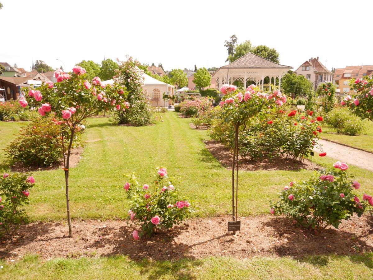Apartamento Le Jardin Des Roses Saverne Exterior foto