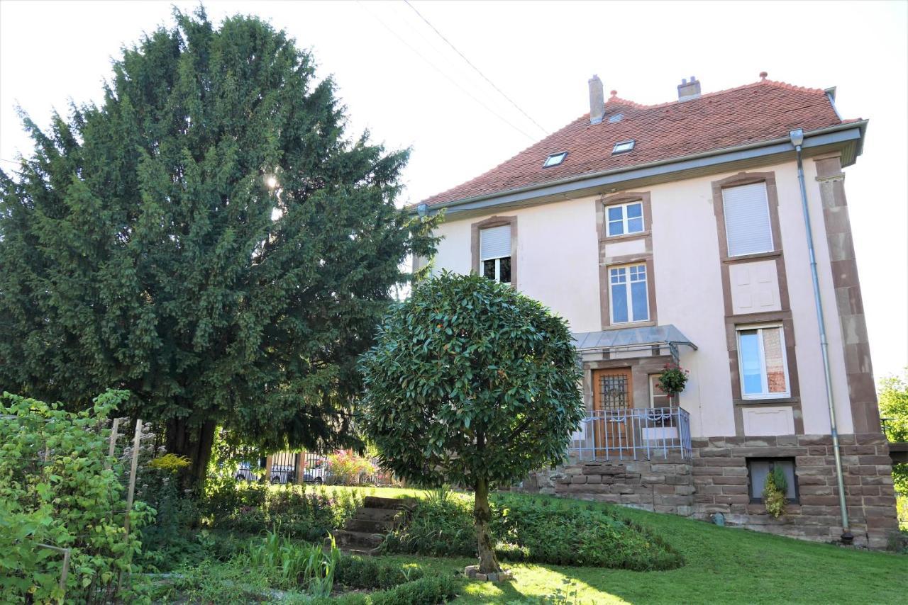 Apartamento Le Jardin Des Roses Saverne Exterior foto
