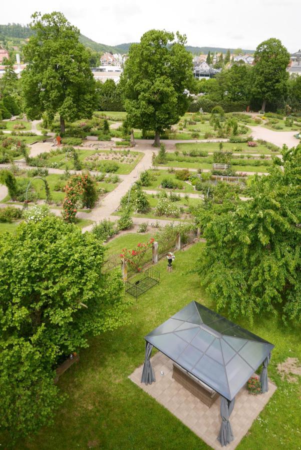 Apartamento Le Jardin Des Roses Saverne Exterior foto