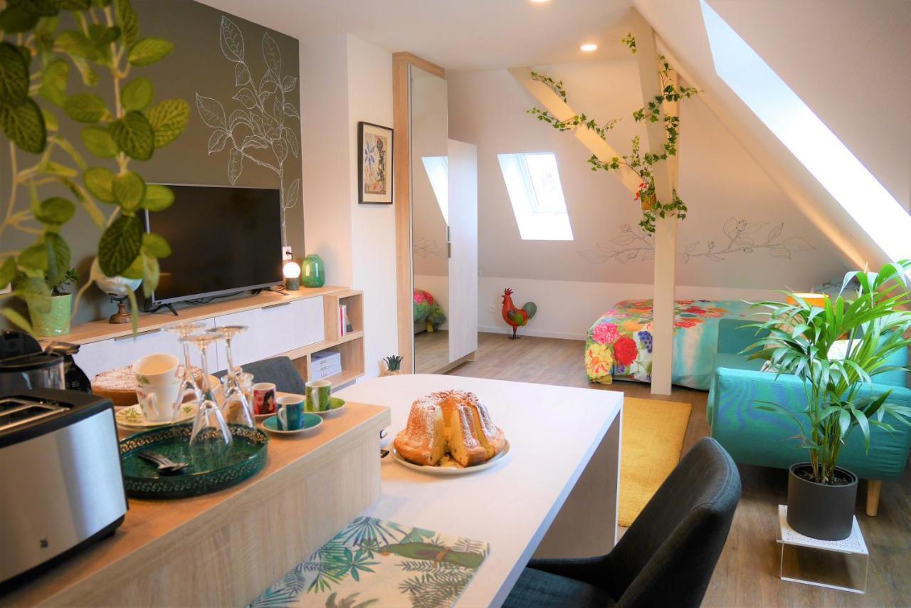 Apartamento Le Jardin Des Roses Saverne Exterior foto