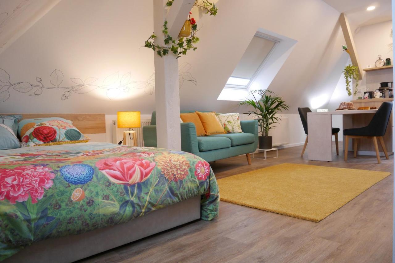 Apartamento Le Jardin Des Roses Saverne Exterior foto