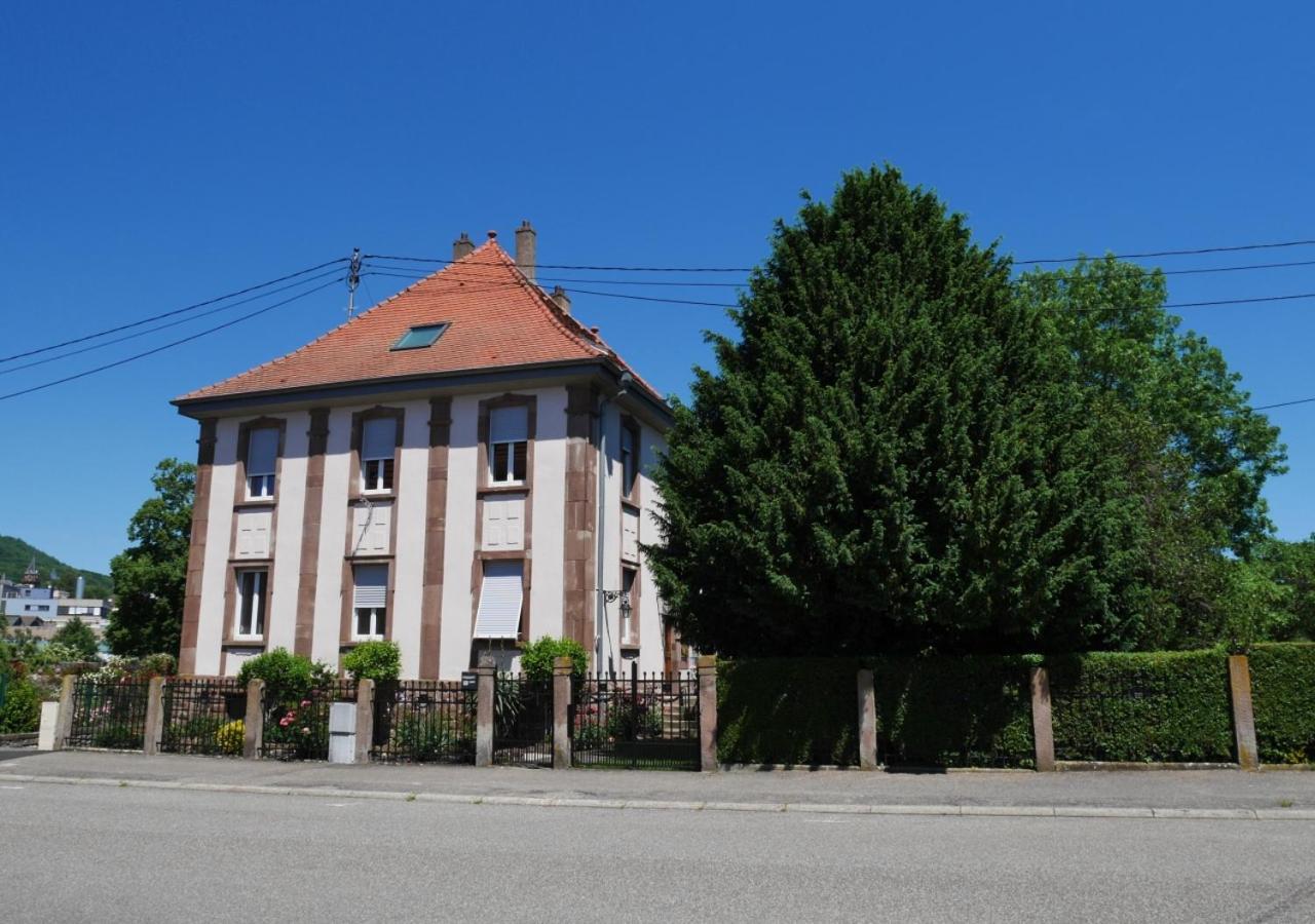 Apartamento Le Jardin Des Roses Saverne Exterior foto